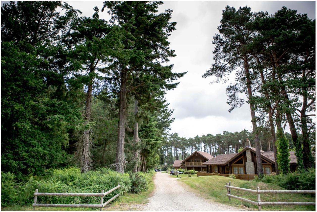 Dorset Resort Hotel East Stoke (Dorset) Exterior foto